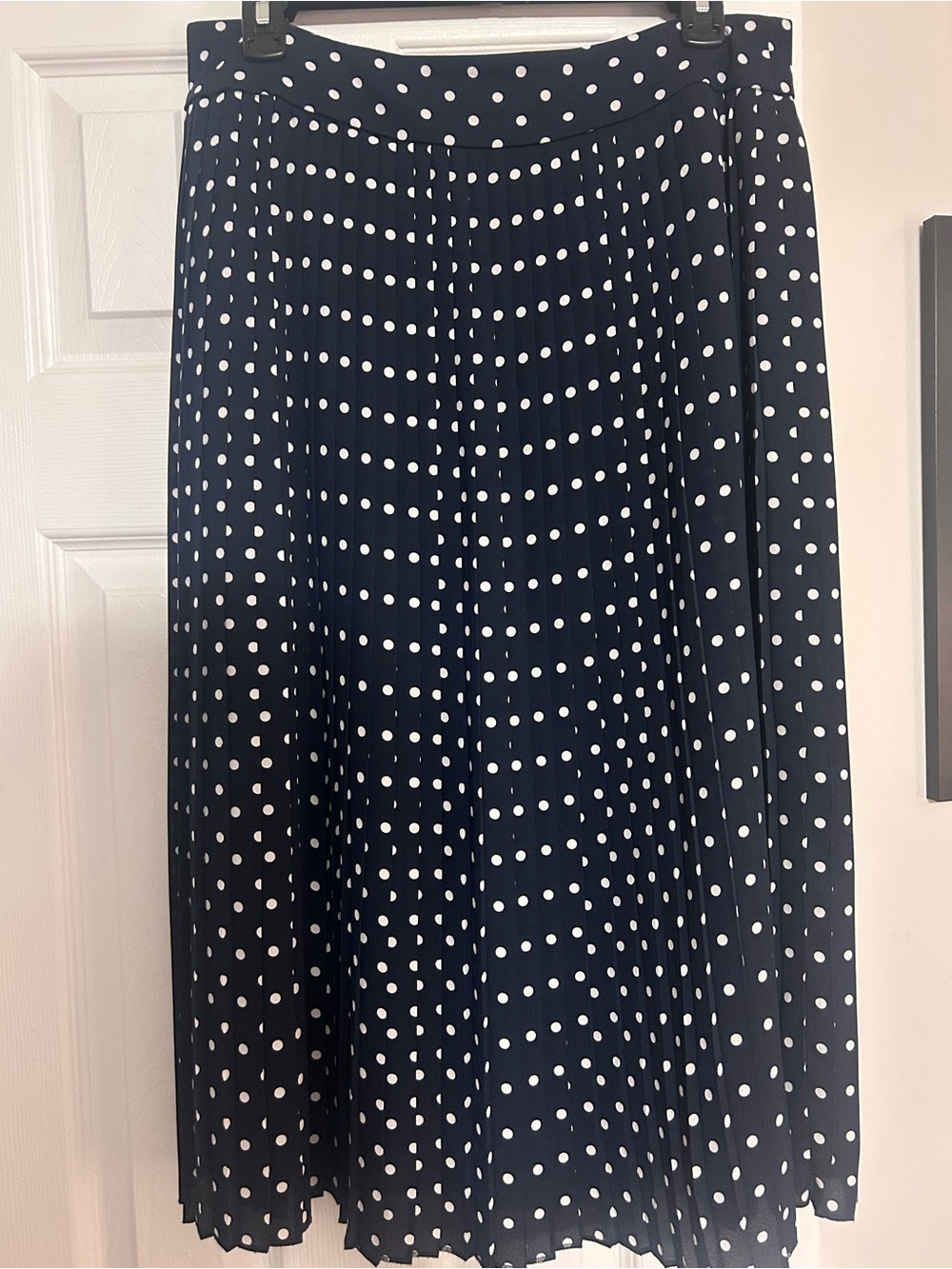J. Crew Navy and White Polka Dot Pleated Midi Skirt